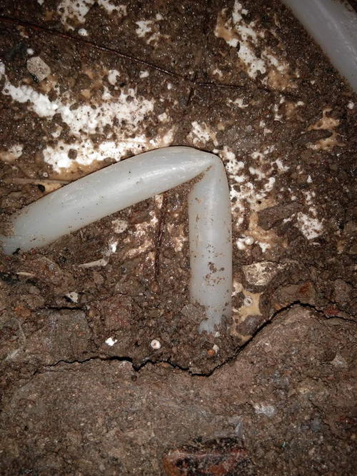 云梦堵点精准查找